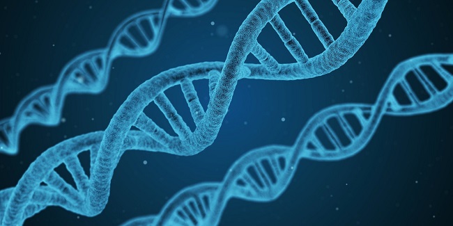 How genetic data could be used in marketing campaigns
